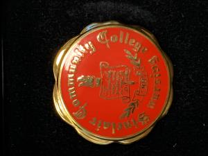Image of NURSING PIN SINGLE GOLD FILLED